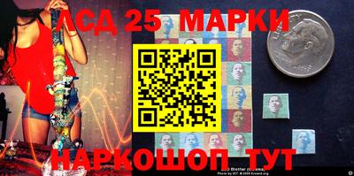 mdpv Заводоуковск