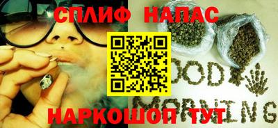 mdpv Заводоуковск